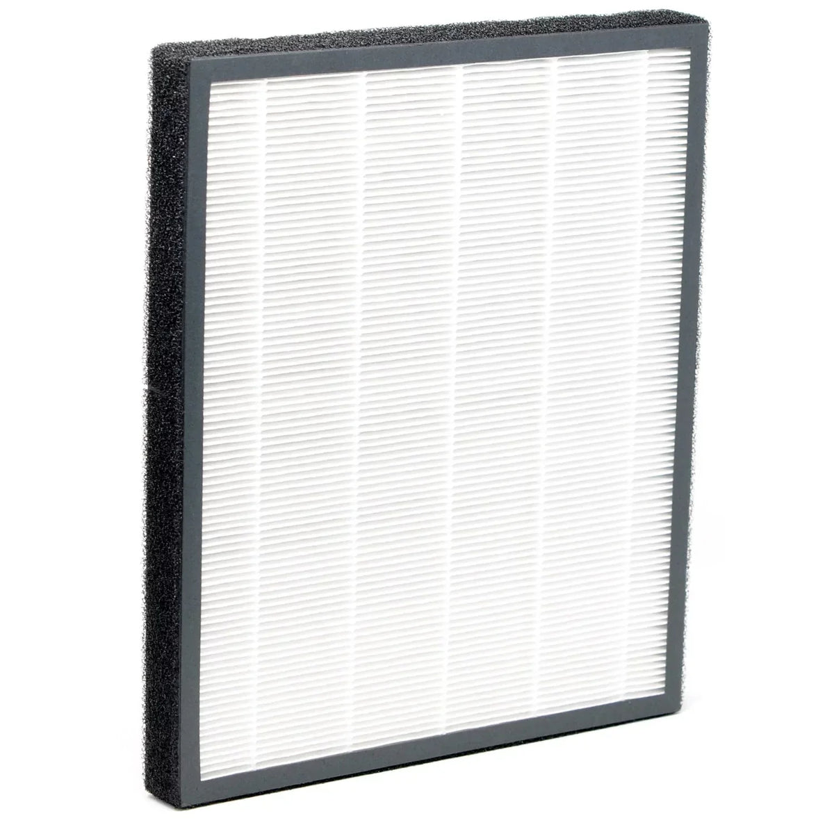Carbon (-3100A) Filter 310A Activated / NaturoPure