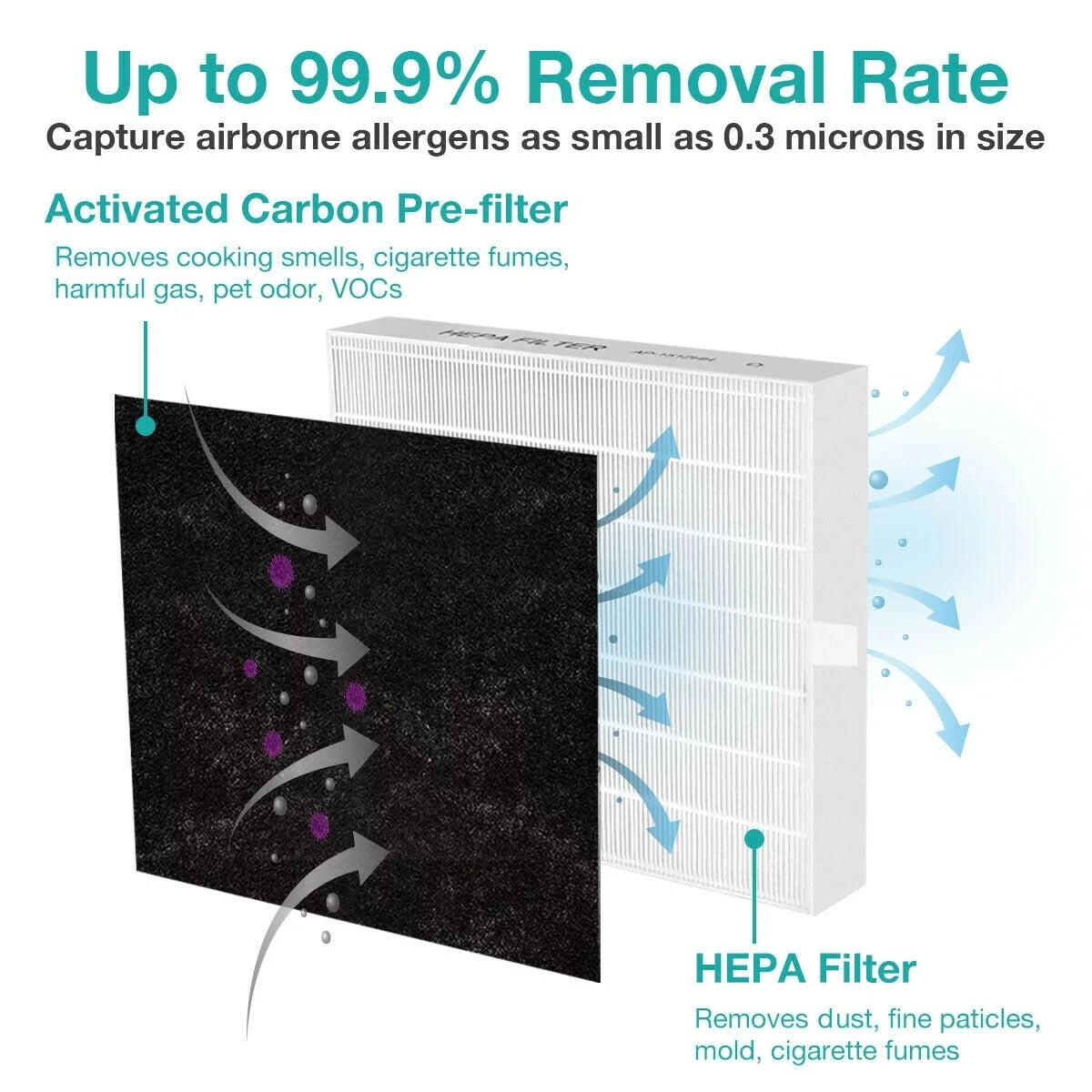AP1512HH for Coway Replacement Filter Purifiers Pack 2 Air True 3304899