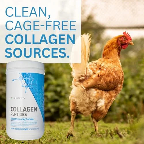 Collagen Peptides Youngevity