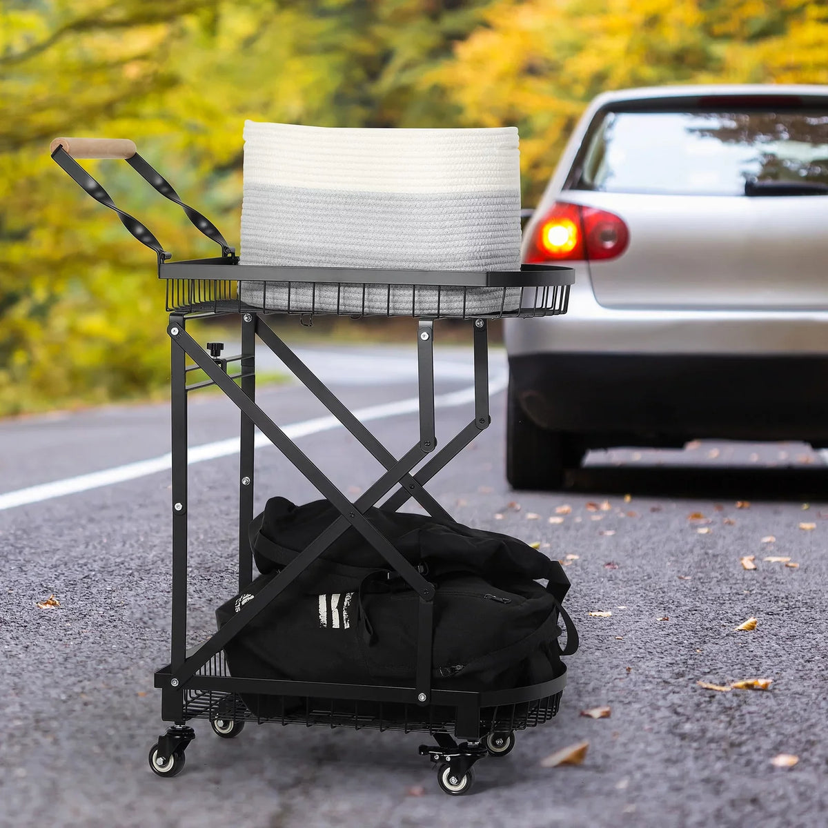 Metal Storage Multifunction Trolley Rolling Utility Cart, 2-Tier
