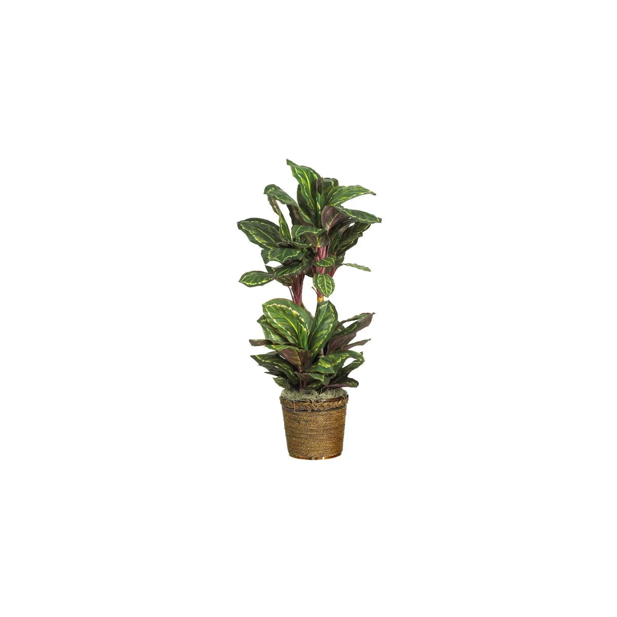 45In. Plant HomeStock Industrial Maranta Impressions Silk