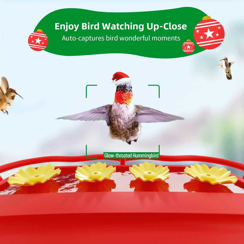 Camera 350+ Gift Unique with House, Species, Hummingbird 2 Up-Close, Feeder Smart Bird Identify Outdoor Attract Capture,Birdwatching Wooden Hummingbird for Feeder Hummingbird Camera More Auto-Video