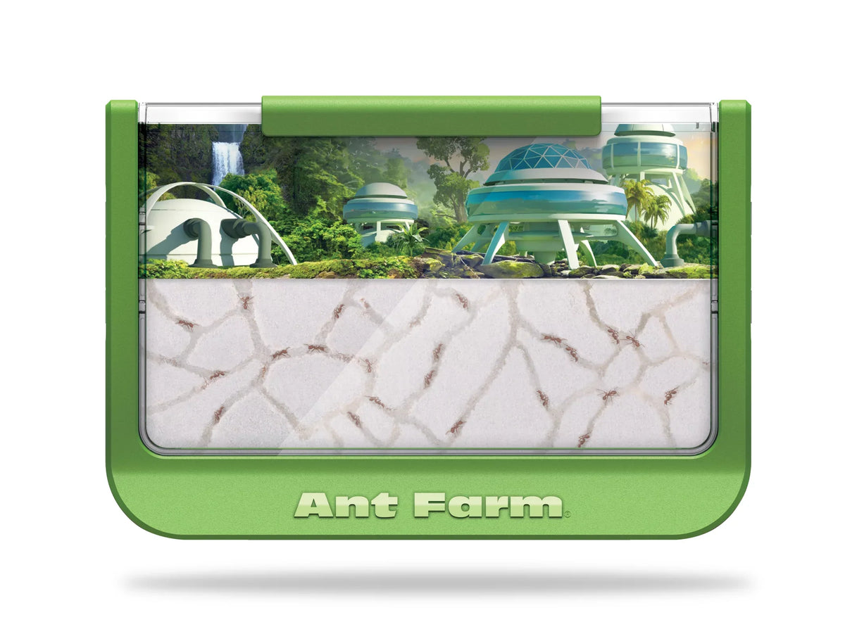 Rainforest Ant - Educational - Farm Uncle Toy Milton - Green Scientific