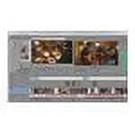SVDVD13099ESD Pro Vegas 13 Sony Code) ()(Digital