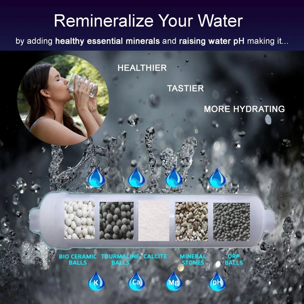 for System -1006 pH+ Cartridge Filter Alkaline Mineral