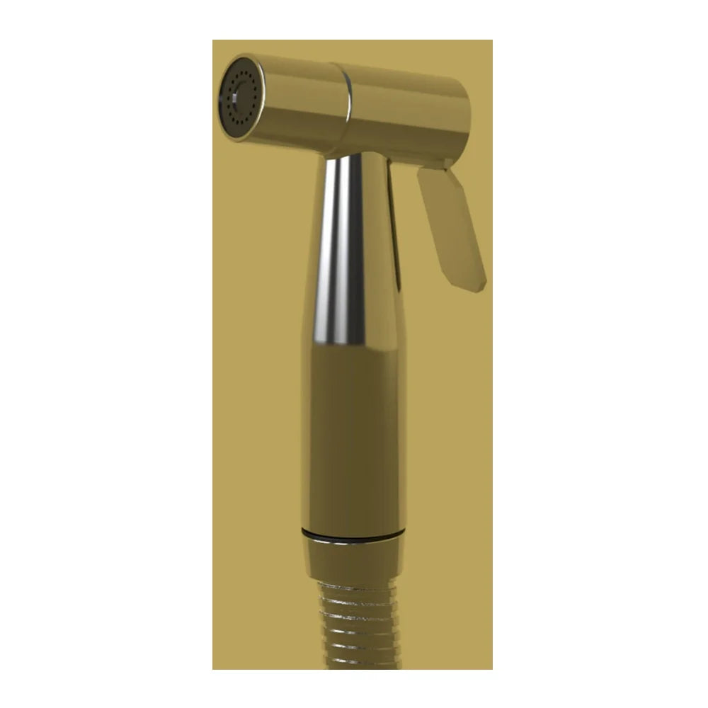 Steel in Installation Stainless Luxury Silver, Bidet All Included Parts CleanSpa Brondell Hand-held