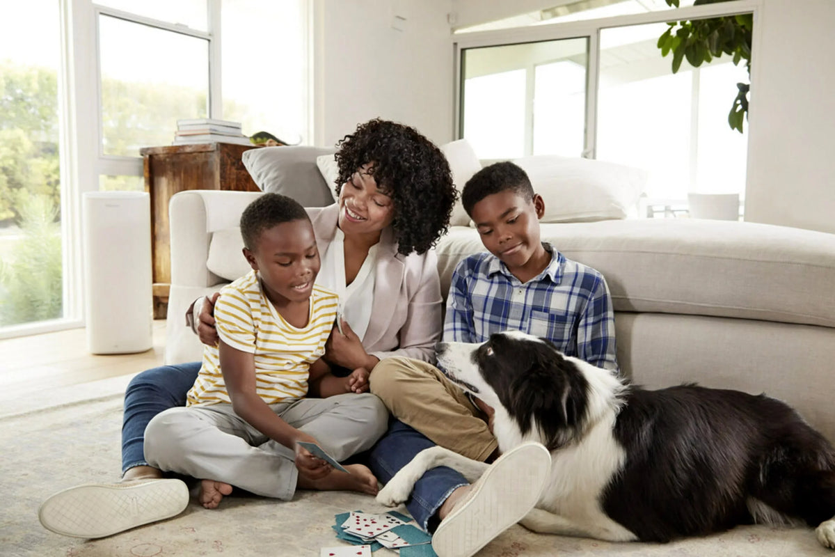 Viruses, & and 1500 4 Bacteria Air Virus Bacteria, 12, Allergen, 16x20x1, Filtrete by , Filter, Captures Filters 3M, Smart Furnace Allergens,