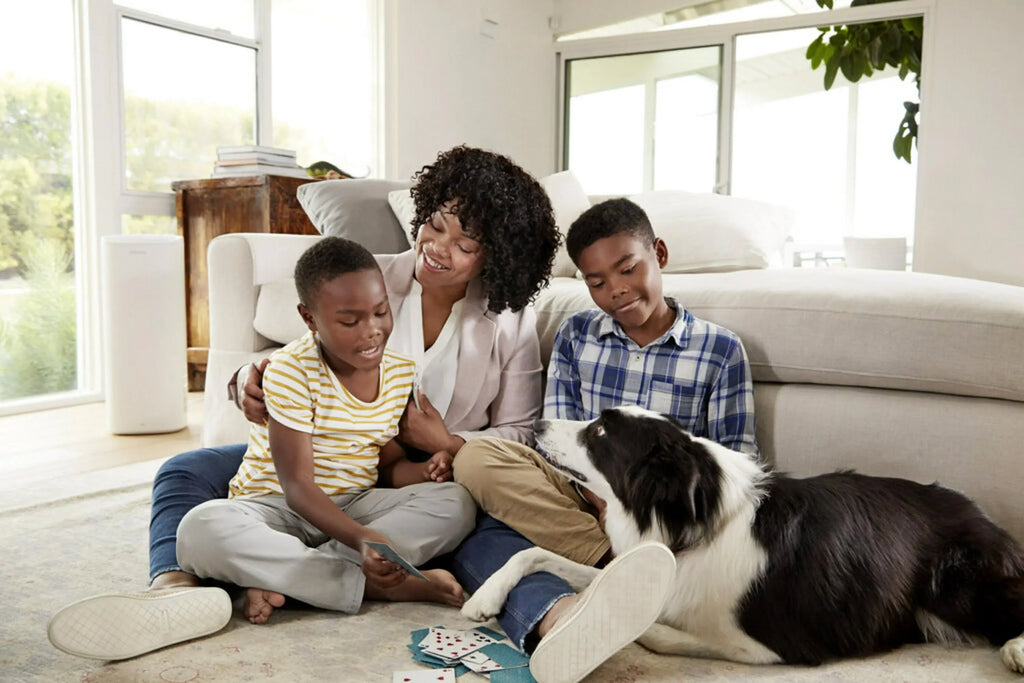Filter, Captures Filters Allergen Bacteria, Allergens, 20x22x1, 3M, 4 Filtrete 12, , by 1500 Viruses, Reduction Advanced Furnace Air