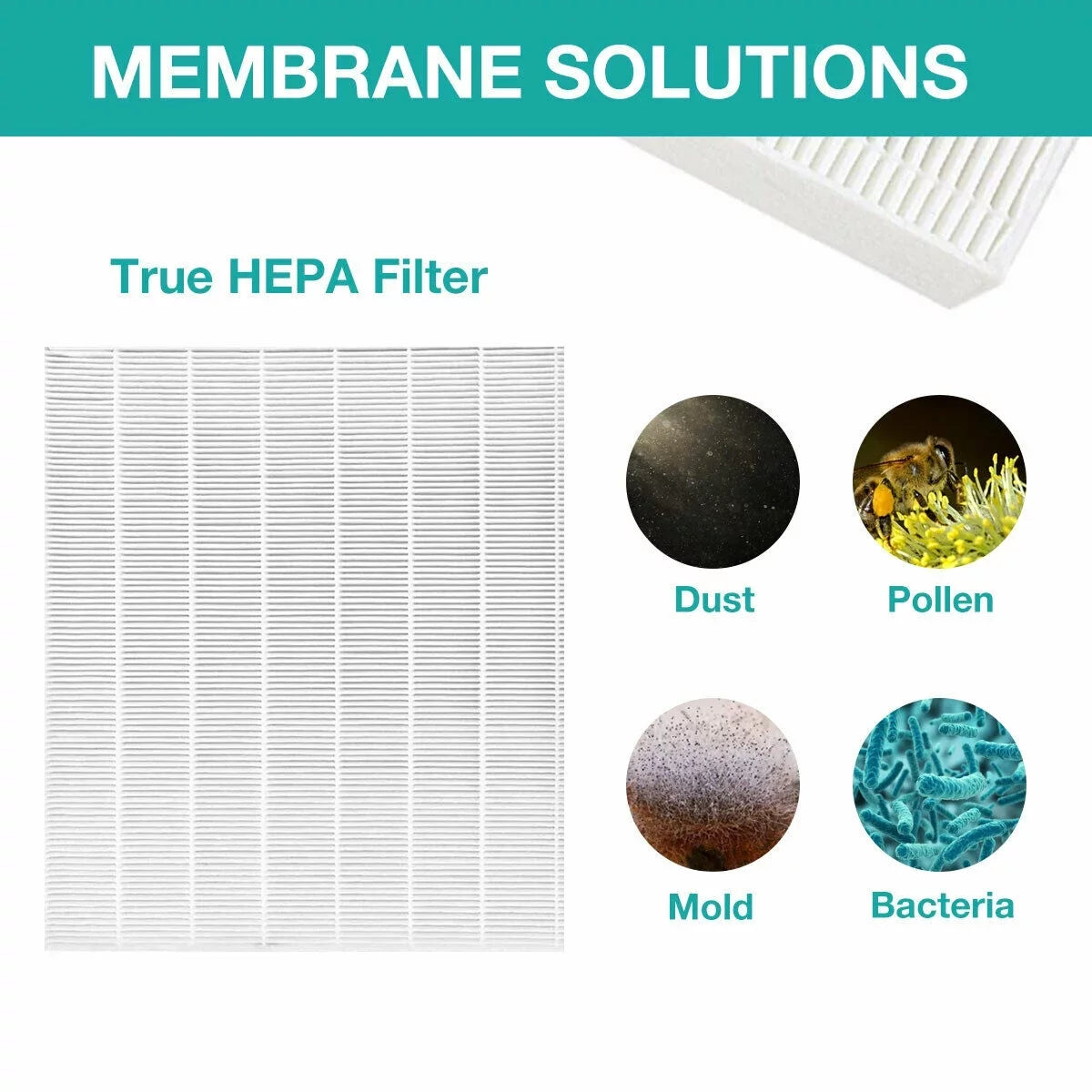 AP1512HH for Coway Replacement Filter Purifiers Pack 2 Air True 3304899