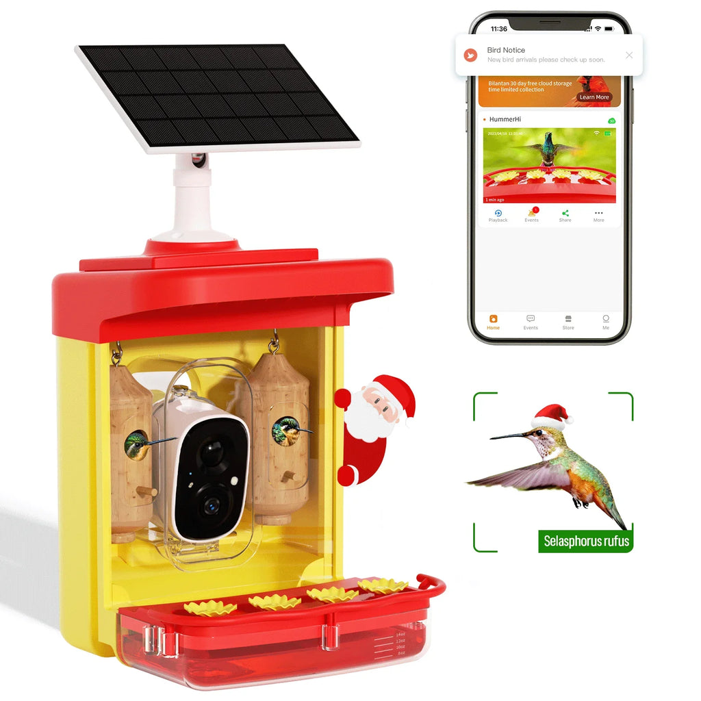 Camera 350+ Gift Unique with House, Species, Hummingbird 2 Up-Close, Feeder Smart Bird Identify Outdoor Attract Capture,Birdwatching Wooden Hummingbird for Feeder Hummingbird Camera More Auto-Video