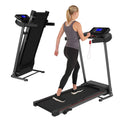 2.5HP Multi-function Electric with Treadmill Gym 250 Motor Treadmill for Home Capacity Foldable