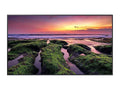 Display Samsung 75" Commercial LH75QBBEBGCXGO