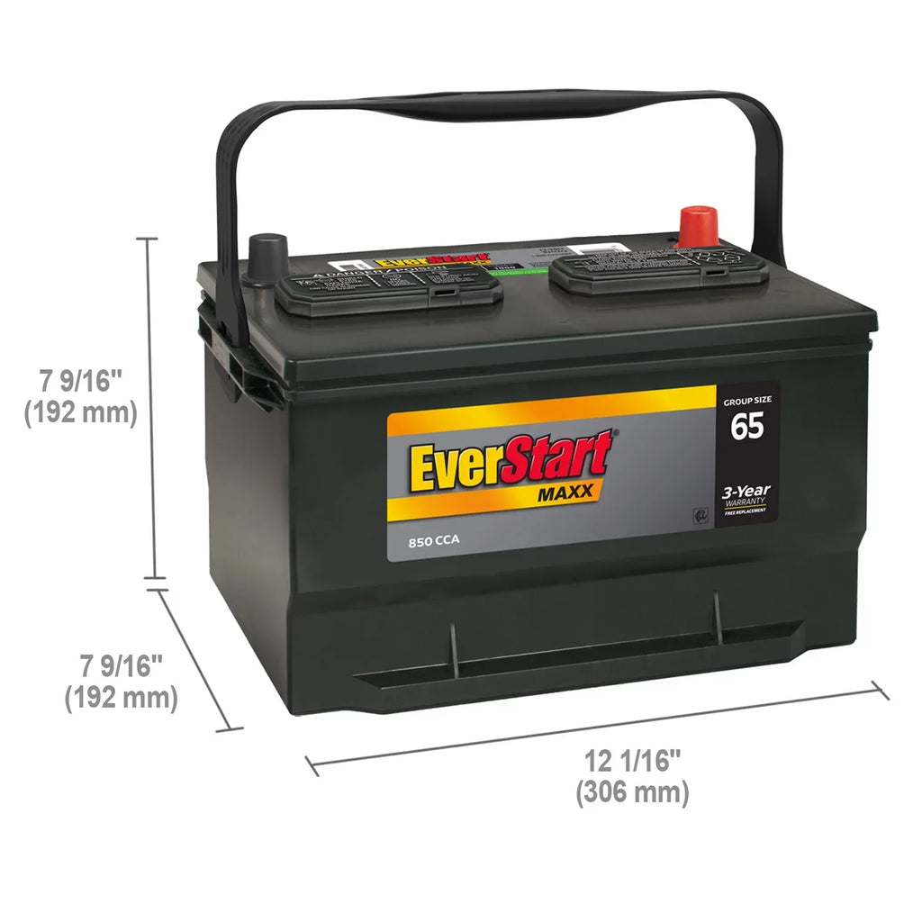 850 Volt Maxx 65 Size Acid Automotive 12 EverStart Group Lead Battery,