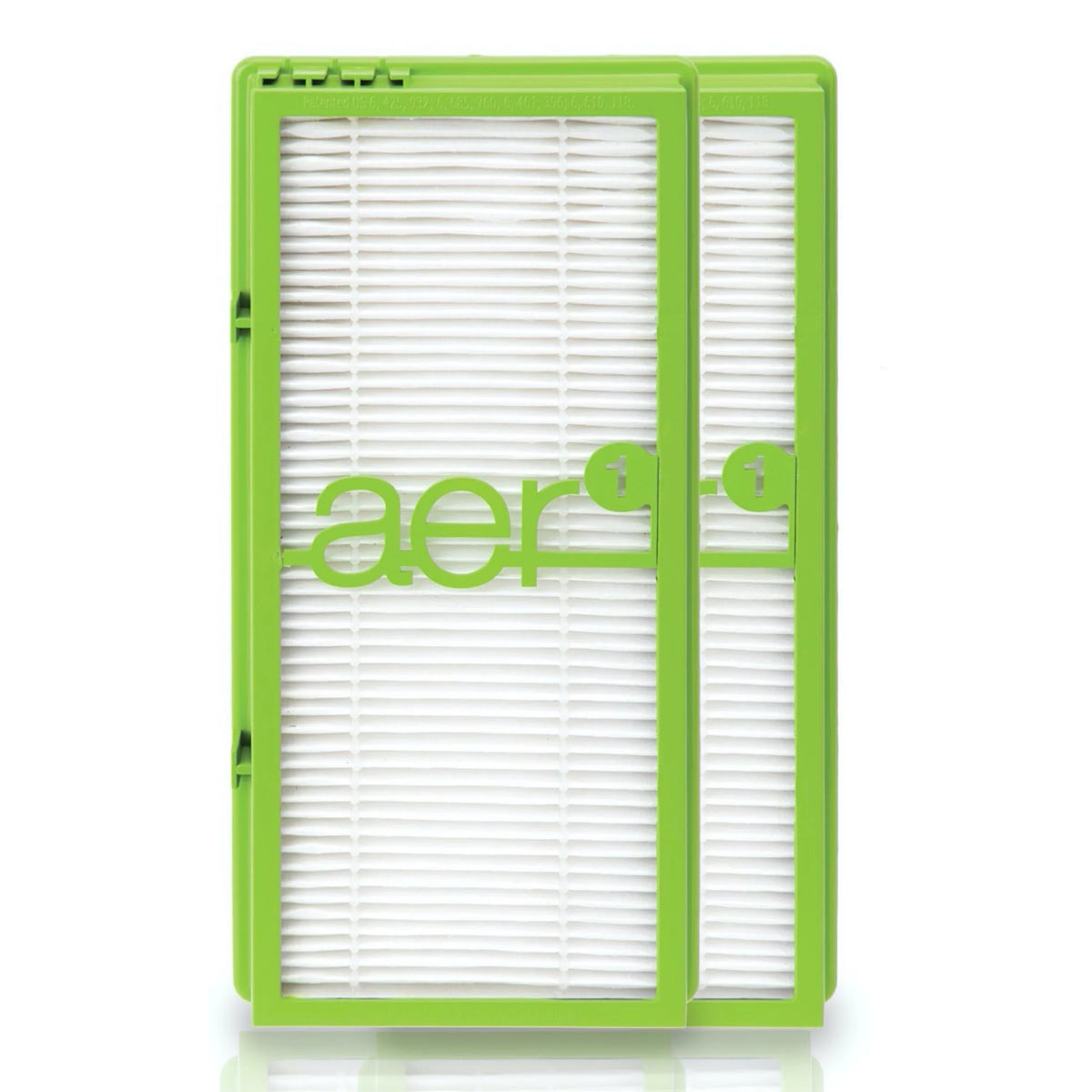 2-Pack Bionaire® True aer1 Filter, Air Allergen-Remover