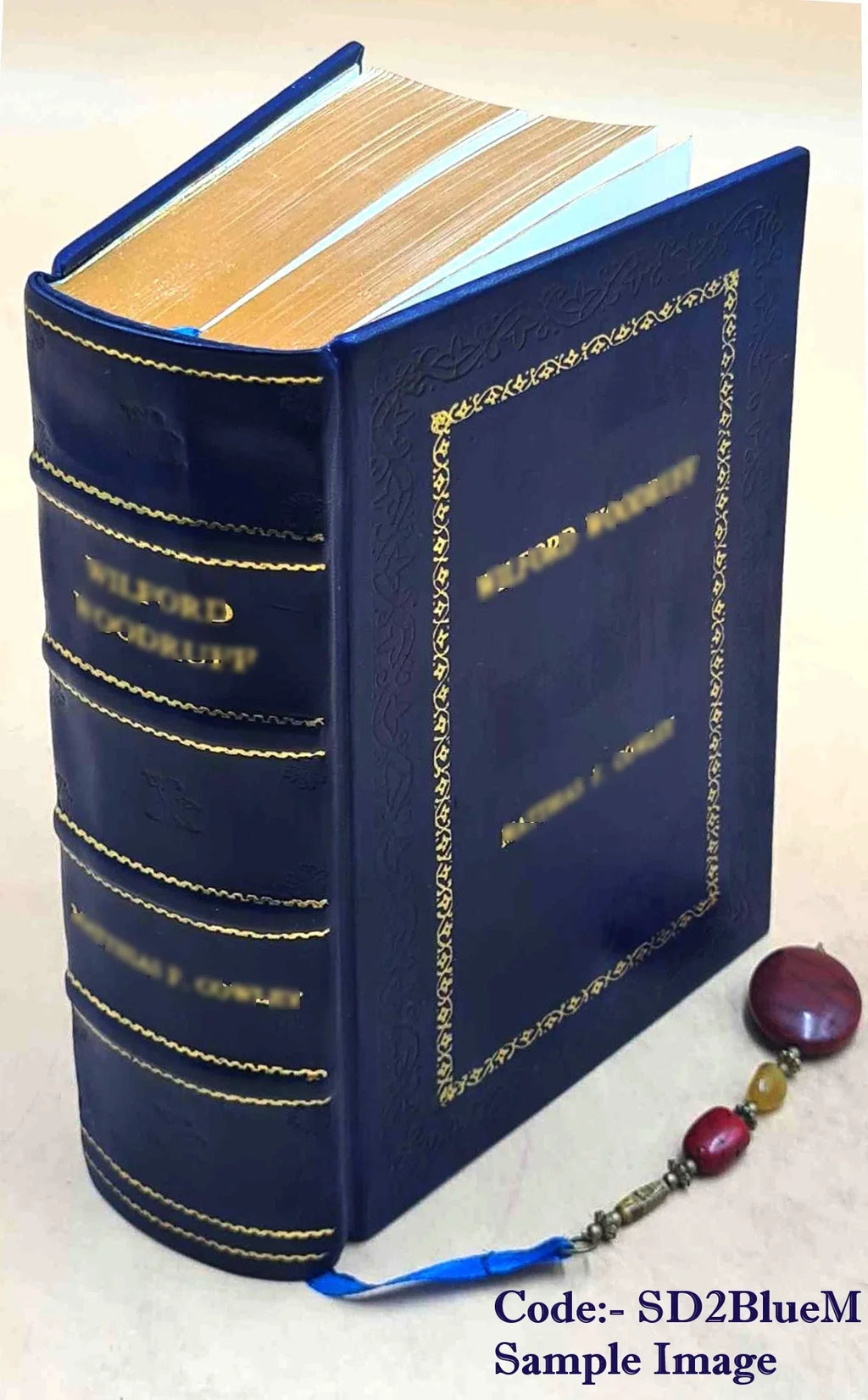 Salzburg, Leather Alps, including Carinthia, Styria, Bavarian Carniola: eastern [Premium Tyrol, highlands, Austria, 1907 handbook and Upper for Bound] and travellers Lower the The