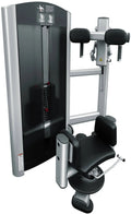 Silver Rotation Torso (New) French Fitness