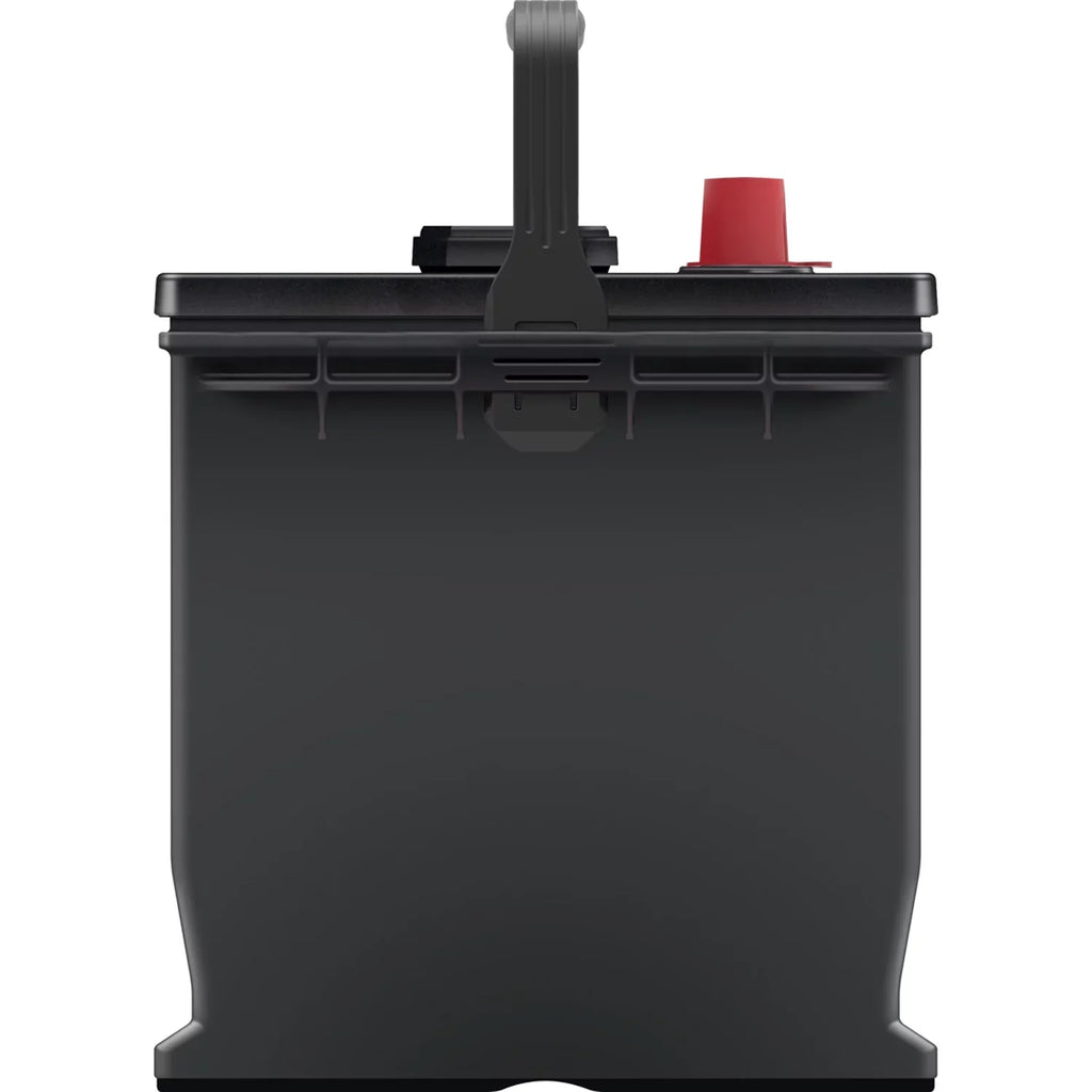 850 Volt Maxx 65 Size Acid Automotive 12 EverStart Group Lead Battery,