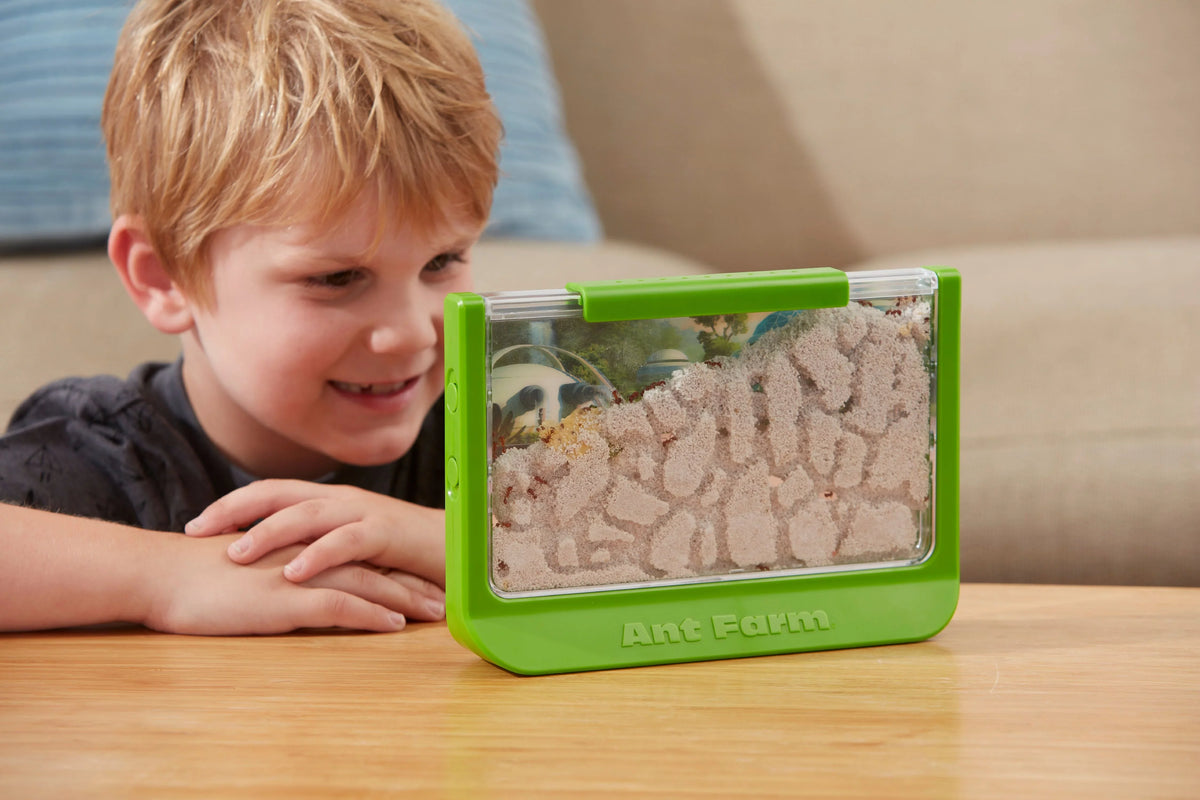 Rainforest Ant - Educational - Farm Uncle Toy Milton - Green Scientific