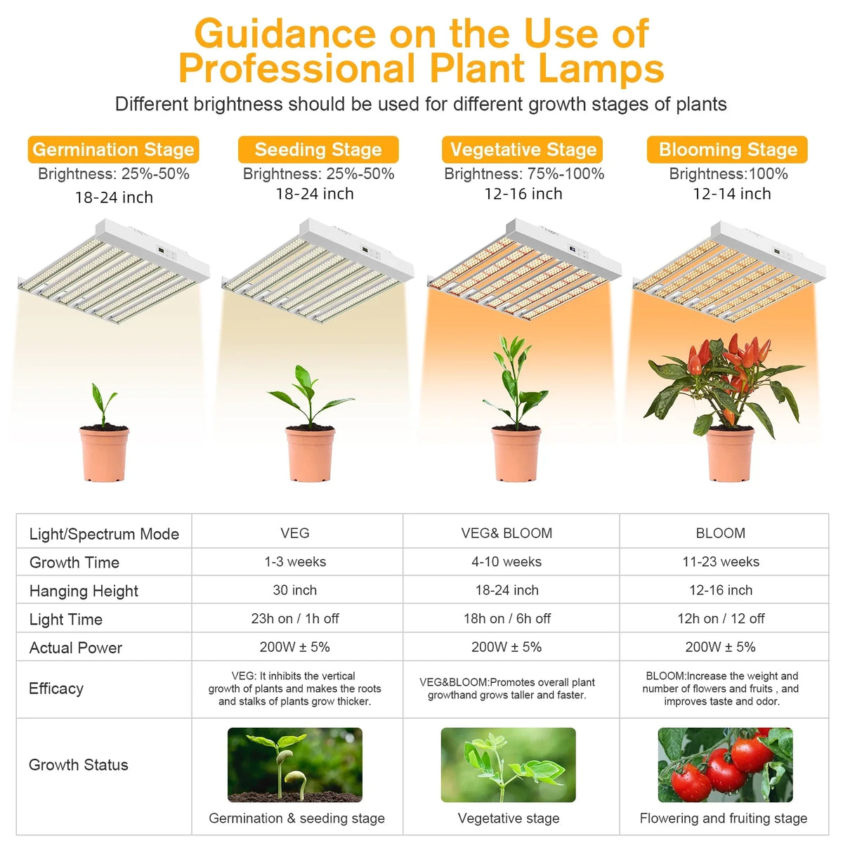 Plant Indoor Light Grow Fixture Dimmer with Growth Seeding, and Spectrum - - Shieldage Full Bloom Plants Grow Timer 3x3ft 200W Lamps for Plant Light & Sunlike Veg Flowering, SPF2000