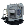 Lamp Projector Lamps Fits -FP240C Optoma 52487-G Dynamic Module