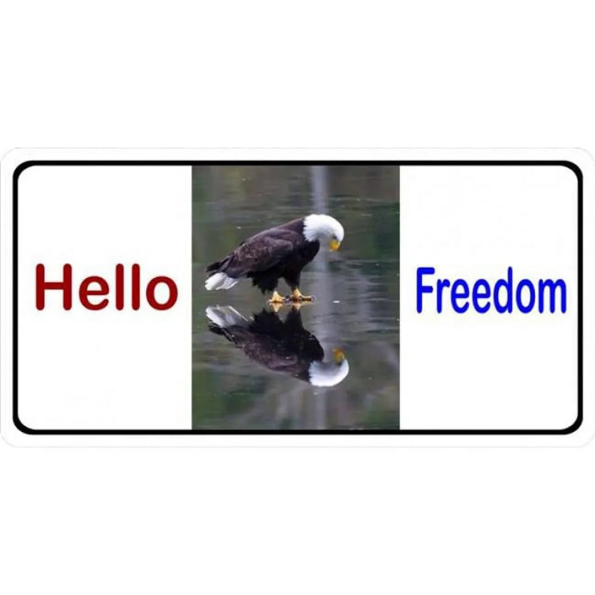 Main 6 x 212 Plate Hello in. with License Photo LPO1920 Freedom Eagle 12