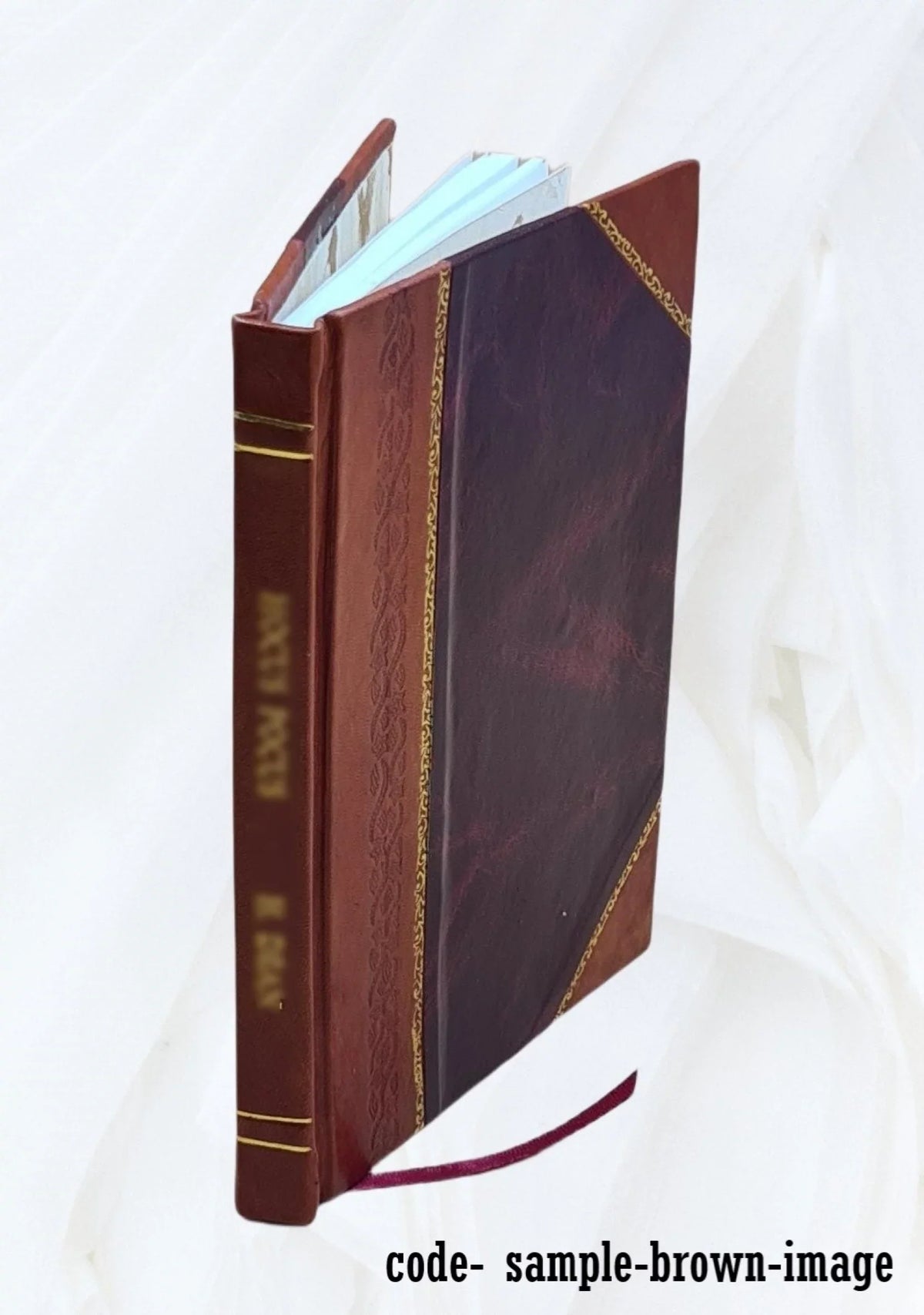 Ad 1530 Bound] orator Ciceronis Brutum M.T. Marcum [Leather