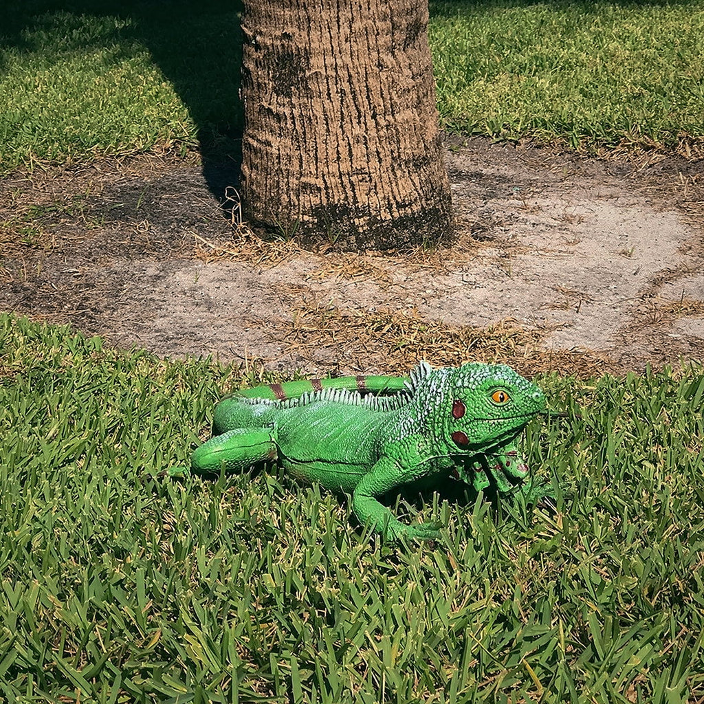 Iguana Foam Movie Life Lizard Reptile Dragon Bearded Prop Green Filled Giant Rubber Size Large