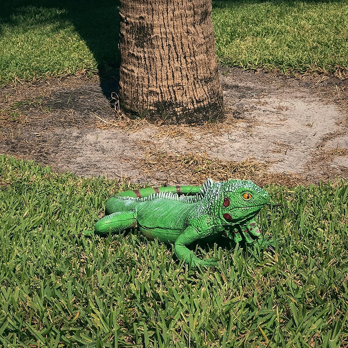 Iguana Foam Movie Life Lizard Reptile Dragon Bearded Prop Green Filled Giant Rubber Size Large