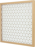 4, X 1-Inch, 12-Pack Filter, Flow X Air 25 25