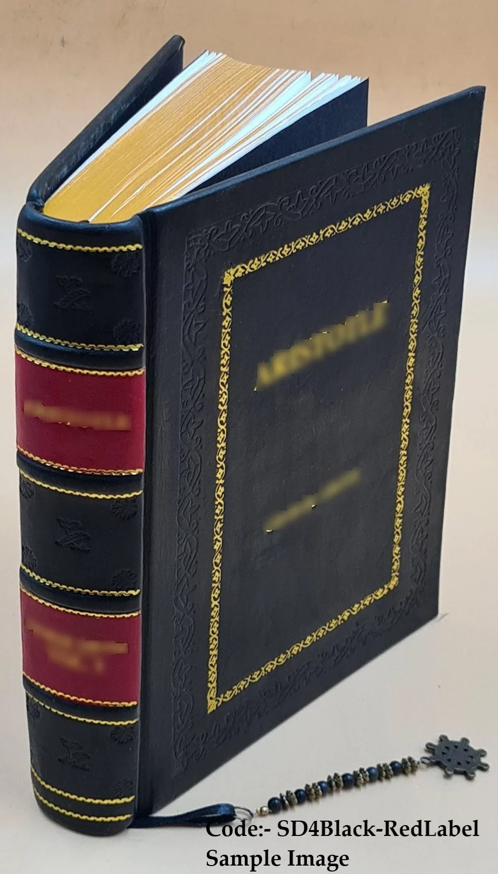 Salzburg, Leather Alps, including Carinthia, Styria, Bavarian Carniola: eastern [Premium Tyrol, highlands, Austria, 1907 handbook and Upper for Bound] and travellers Lower the The