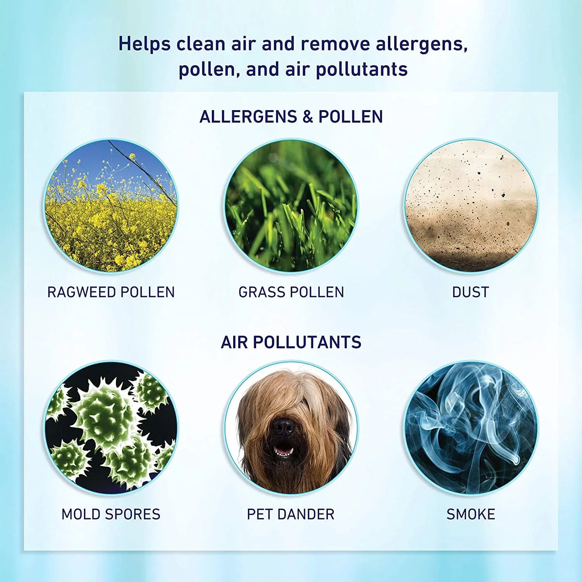 2-Pack Bionaire® True aer1 Filter, Air Allergen-Remover