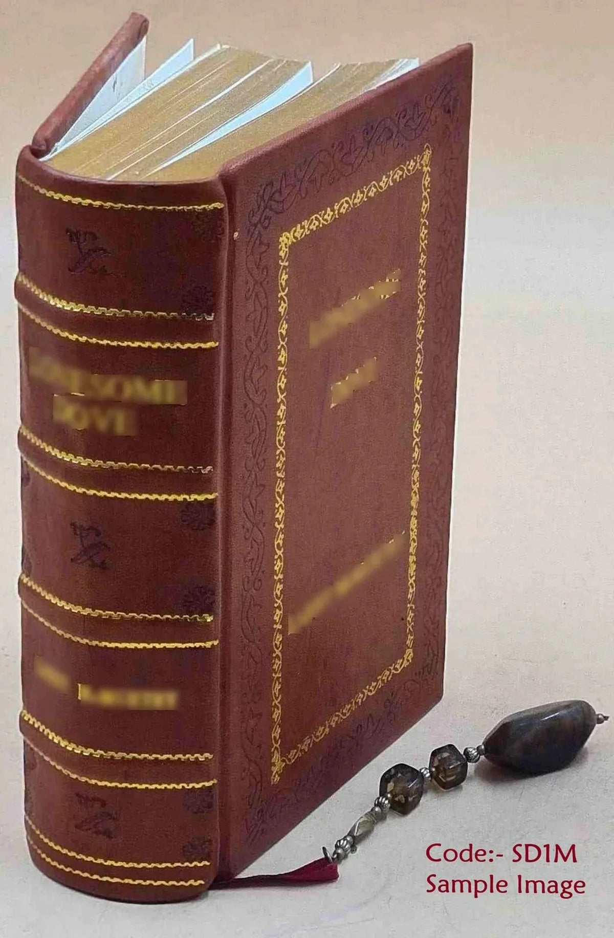 Salzburg, Leather Alps, including Carinthia, Styria, Bavarian Carniola: eastern [Premium Tyrol, highlands, Austria, 1907 handbook and Upper for Bound] and travellers Lower the The