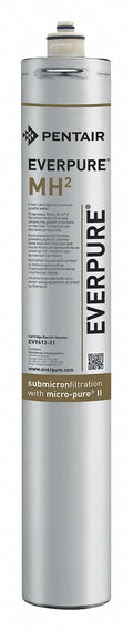 System Filtration Cartridge Everpure Moisture EV961321