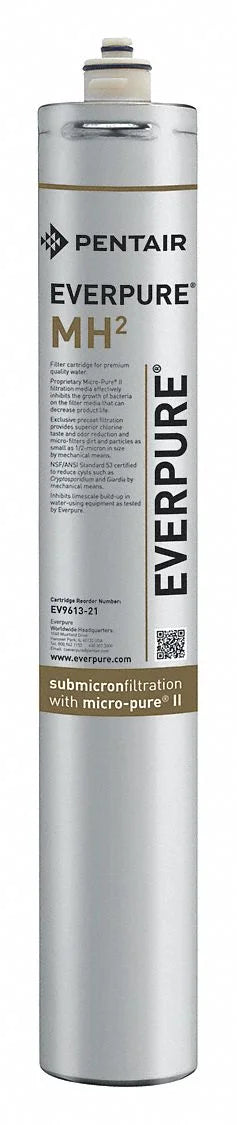 System Filtration Cartridge Everpure Moisture EV961321