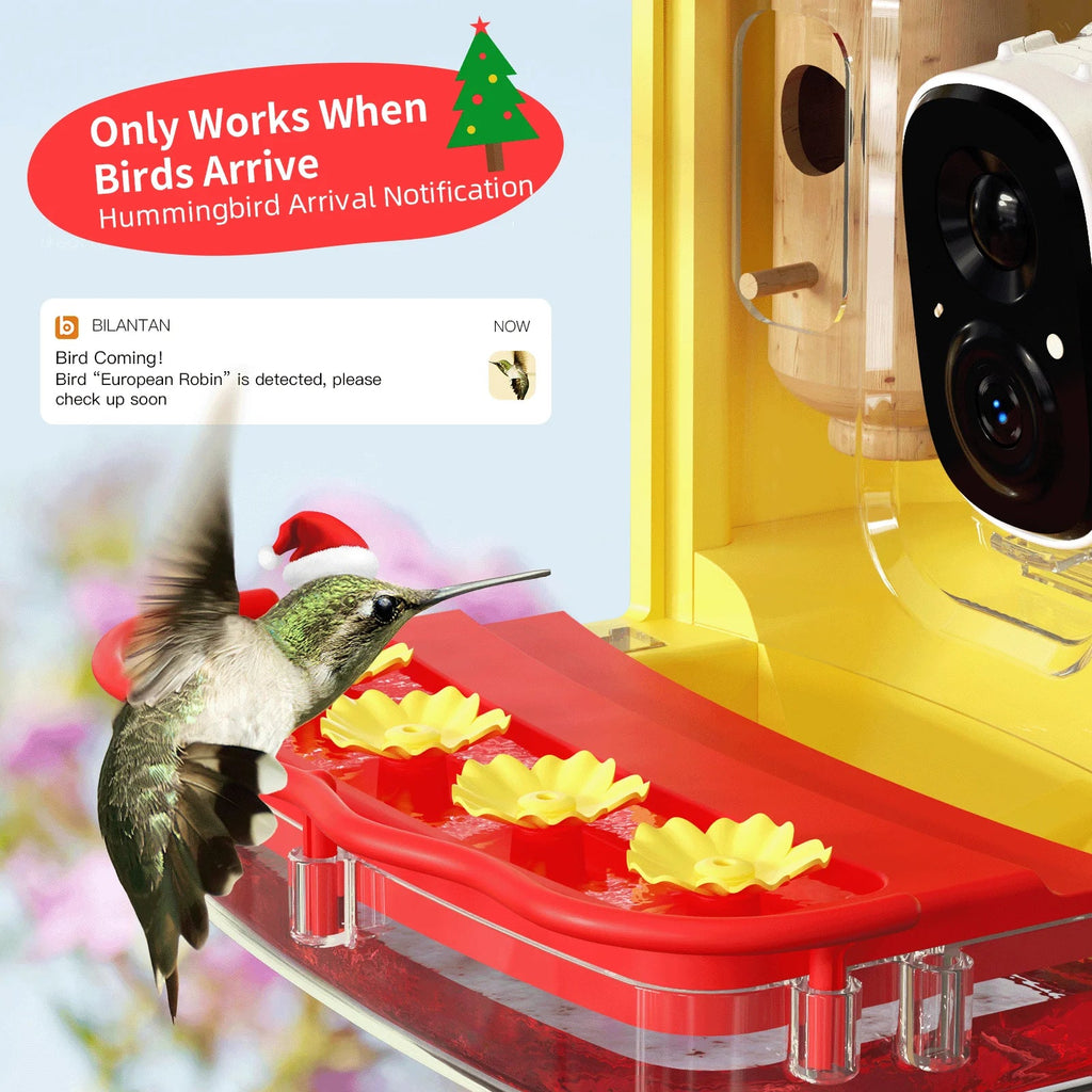 Camera 350+ Gift Unique with House, Species, Hummingbird 2 Up-Close, Feeder Smart Bird Identify Outdoor Attract Capture,Birdwatching Wooden Hummingbird for Feeder Hummingbird Camera More Auto-Video